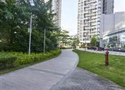 荟港尊邸2期-环境绿化