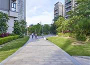 荟港尊邸2期-环境绿化