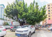 后海名苑居-环境绿化