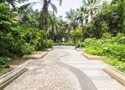 鹏莲花园-环境绿化