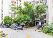 紫竹园-环境绿化