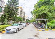 紫竹园-环境绿化