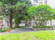 紫竹园-环境绿化