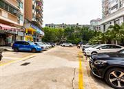 新活力花园-环境绿化