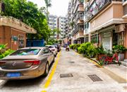 新活力花园-环境绿化