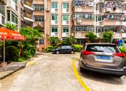 新活力花园-环境绿化