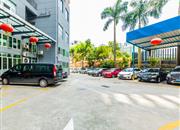 园博绿苑-环境绿化