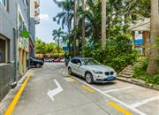 园博绿苑-环境绿化