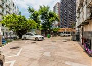 园博绿苑-环境绿化