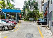 园博绿苑-环境绿化