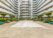 紫薇阁-环境绿化