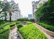 福田中港城-环境绿化