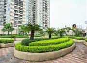 福田中港城-环境绿化