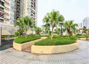 福田中港城-环境绿化