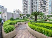 福田中港城-环境绿化