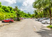 汇龙花园10栋-环境绿化