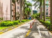 汇龙花园10栋-环境绿化