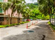 汇龙花园10栋-环境绿化