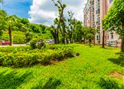 汇龙花园10栋-环境绿化