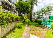 汇龙花园10栋-环境绿化