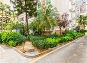 福兴花园（一期）-环境绿化