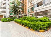 福兴花园（一期）-环境绿化