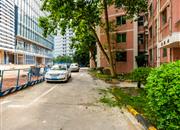 耀荣园-环境绿化