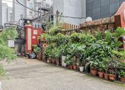 国雄公司商住楼-环境绿化