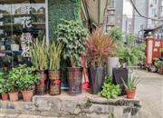 国雄公司商住楼-环境绿化