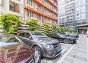 中泰南山一品(中泰艺术名庭)-环境绿化