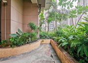 中粮幸福花园-环境绿化