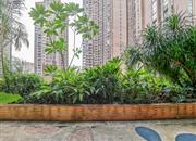 中粮幸福花园-环境绿化