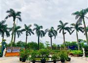 华尔登府邸-环境绿化