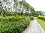 高发公寓-环境绿化