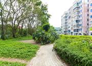 高发公寓-环境绿化