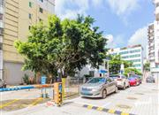 后海花园-环境绿化