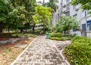 荔枝苑-环境绿化