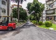 荔枝苑-环境绿化