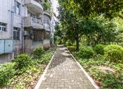 荔枝苑-环境绿化