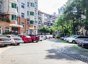 诗宁小区-环境绿化