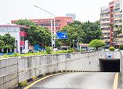 海晖大厦-环境绿化