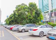 海晖大厦-环境绿化