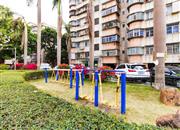 公路局大院-环境绿化