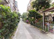 公路局大院-环境绿化