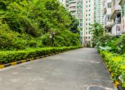 润裕山景豪苑-环境绿化