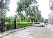 鼎胜山邻-环境绿化