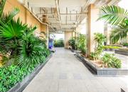 鼎胜山邻-环境绿化