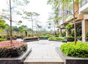 鼎胜山邻-环境绿化