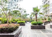 鼎胜山邻-环境绿化