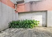 翡翠华庭-环境绿化